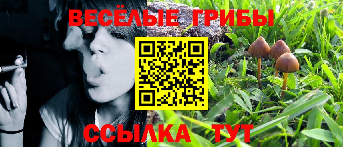 Галлюциногенные грибы мухоморы  Псилоцибиновые грибы MAGIC MUSHROOMS  Обнинск  Вход с VPN 